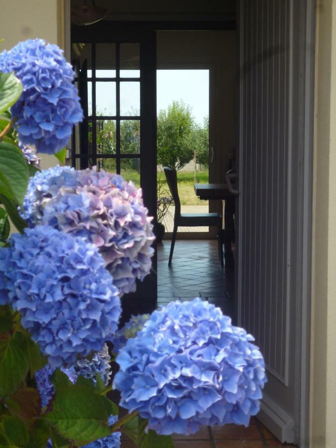 Chambres D'Hotes De Ty Guen Tredarzec Bagian luar foto